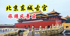BBW老光棍手机在线观看中国北京-东城古宫旅游风景区